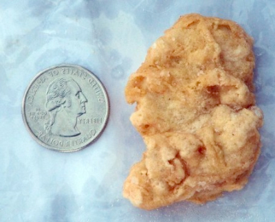 Washington McNugget sold for $8100 McNugget 2